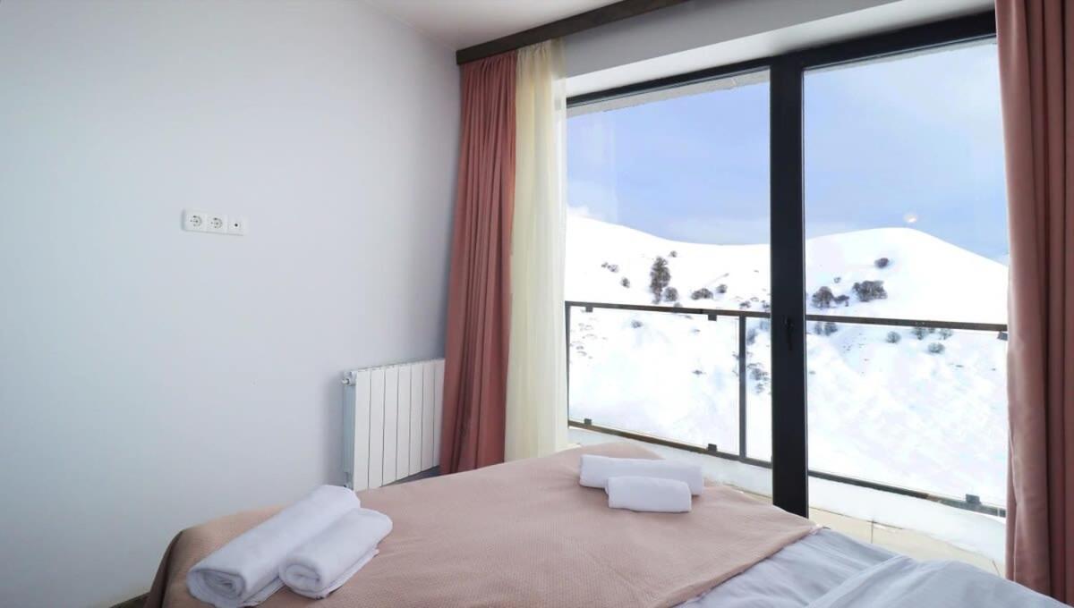 1Br Apartment In Twins Gudauri Project Eksteriør bilde